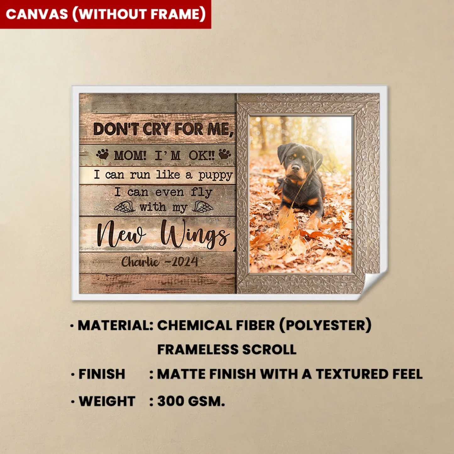 Canvas(without-frame)
