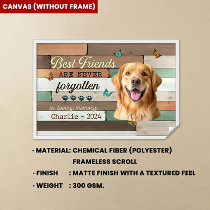 Canvas(without-frame)