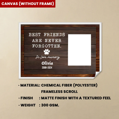 Canvas(without-frame)
